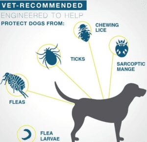  Flea and Tick Collar