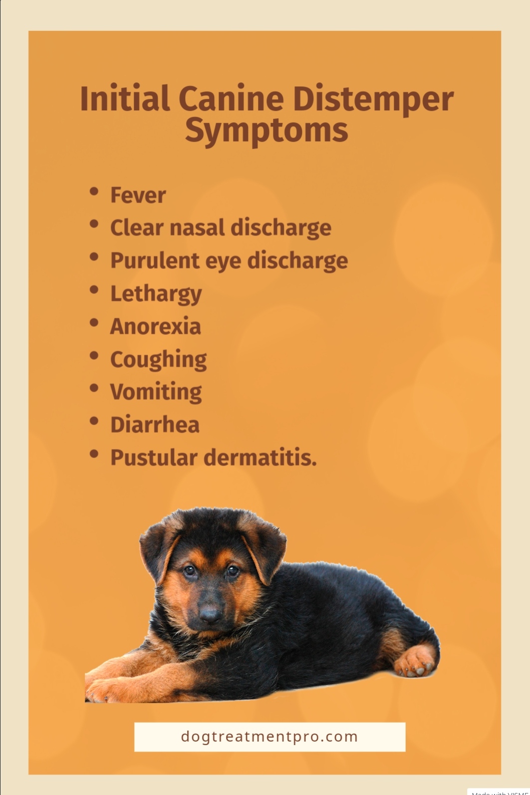 Distemper in Dog : Symptoms, Treatment, Vaccine, Prevention. – DogtPro